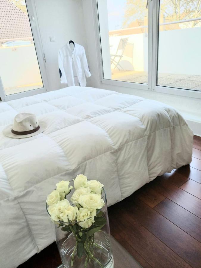 Bel Appartement Strasbourg Ngoại thất bức ảnh