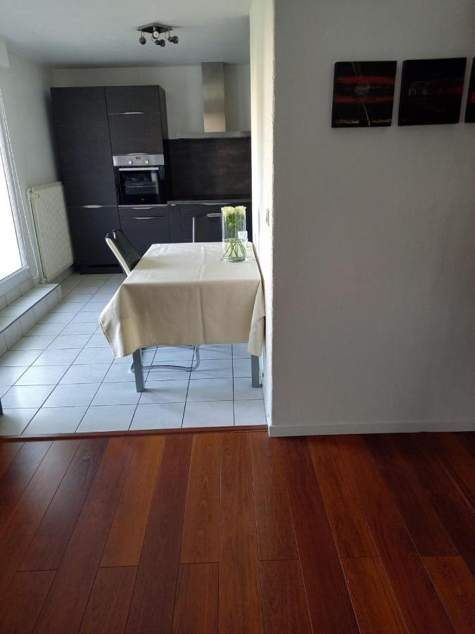 Bel Appartement Strasbourg Ngoại thất bức ảnh